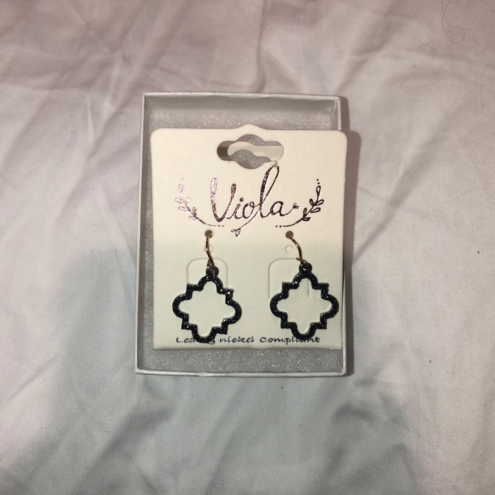 NWOT Hanging Earrings in Box